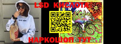 2c-b Кингисепп